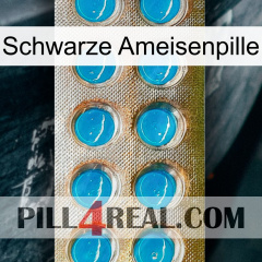 Black Ant Pill new09